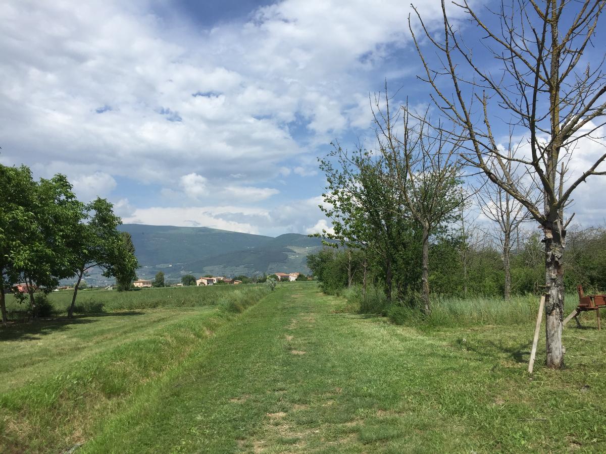 Agriturismo La Semente Villa Spello Kültér fotó